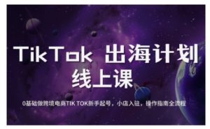 TikTok跨境电商新手起号与运营全攻略,0基础做跨境电商TIKTOK新手起号,小店入驻,操作指南全流程-风淘社