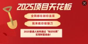 2025项目天花板普通人如何通过知识付费,实现财F自由【揭秘】-风淘社