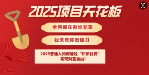 2025项目天花板普通人如何通过知识付费,实现财F自由【揭秘】-风淘社