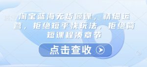淘宝蓝海无货源课,精细运营,拒绝短平快玩法,拒绝简短课程凑章节-风淘社