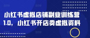小红书虚拟店铺副业训练营1.0,小红书开店卖虚拟资料-风淘社