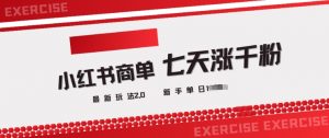 小红书商单2.0最新玩法，3天涨千粉单日变现多张-风淘社