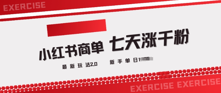 小红书商单2.0最新玩法,3天涨千粉单日变现多张-风淘社