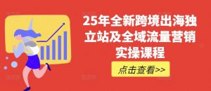 25年全新跨境出海独立站及全域流量营销实操课程，跨境电商独立站TIKTOK全域营销普货特货玩法大全-风淘社