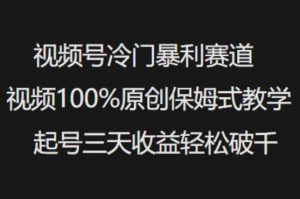 视频号冷门暴利赛道视频100%原创保姆式教学起号三天收益轻松破千-风淘社