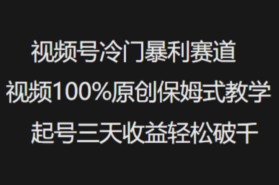 视频号冷门暴利赛道视频100%原创保姆式教学起号三天收益轻松破千-风淘社