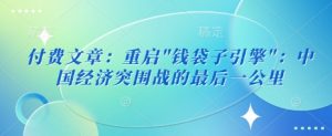 付费文章：重启”钱袋子引擎”：中国经济突围战的最后一公里-风淘社