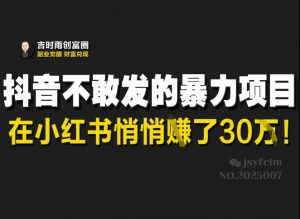 抖音不敢发的暴利项目,在小红书悄悄挣了30W-风淘社