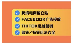 跨境电商独立站及全域流量营销,从0基础快速入门并精通跨境电商运营-风淘社
