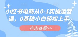 小红书电商从0-1实操运营课，0基础小白轻松上手-风淘社