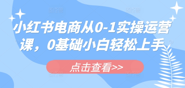 小红书电商从0-1实操运营课,0基础小白轻松上手-风淘社