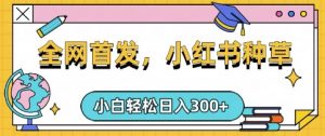 小红书种草，手机项目，日入3张，复制黏贴即可，可矩阵操作，动手不动脑【揭秘】-风淘社