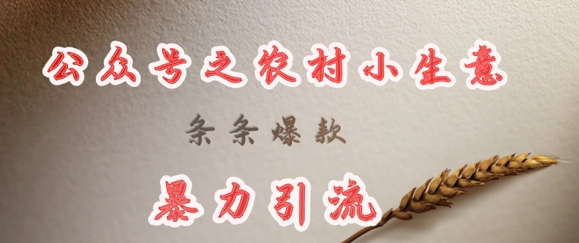 deepseek写农村小项目,条条爆款,暴力引流-风淘社