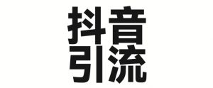 2025年抖音最新暴力引流法,只需一个视频加一段文字,简单操作,单日引300+创业粉-风淘社