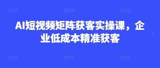 AI短视频矩阵获客实操课,企业低成本精准获客-风淘社