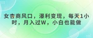 女杏商风口,瀑利变现,每天1小时,月入过W,小白也能做-风淘社