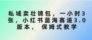 私域卖壮锦包,一小时3张,小红书蓝海赛道3.0版本, 保姆式教学-风淘社