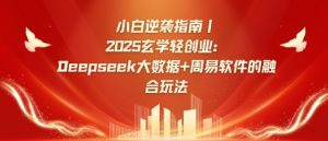 小白逆袭指南，2025玄学轻创业：Deepseek大数据+周易算法的融合玩法-风淘社
