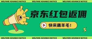 京东新用户拉新项目，拆解纯白嫖项目，玩法简单-风淘社