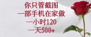 你只管截图，一部手机在家做，一小时120.一天5张【揭秘】-风淘社