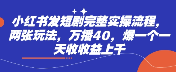 小红书发短剧完整实操流程,两张玩法,万播40,爆一个一天收收益上千-风淘社