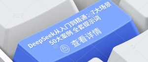 DeepSeek从入门到精通:7大场景 50大案例 全套提示词【文档】-风淘社
