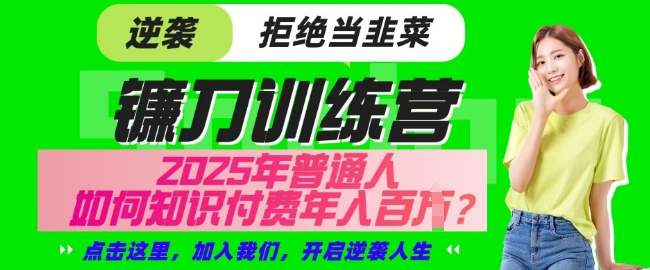 【网创项目终点站-镰刀训练营超级IP合伙人】25年普通人如何通过知识付费实现逆袭【揭秘】-风淘社