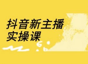 抖音新主播实操课,直播间流量运营线上实操课(18节)-风淘社