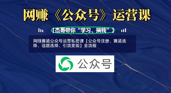 网创赛道公众号运营私密课【公众号注册、赛道选择、话题选择、引流变现】全流程-风淘社