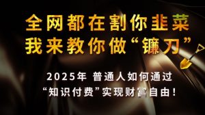 全网都在割你韭菜,我来教你做镰刀,2025普通人如何通过知识付费,实现财F自由【揭秘】-风淘社