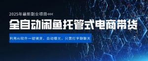 【闲鱼全自动电商带货】三年磨一剑,一朝露锋芒,长期稳定项目,单日稳定变现5张【揭秘】-风淘社