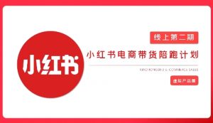 2025小红书虚拟电商实战课,从0到1打造无货源店铺,AI+爆款笔记轻松变现-风淘社