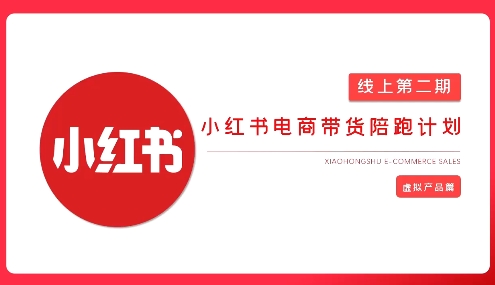 2025小红书虚拟电商实战课,从0到1打造无货源店铺,AI+爆款笔记轻松变现-风淘社