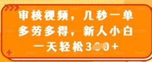 审核视频，几秒一单，多劳多得，新人小白一天轻松3张【揭秘】-风淘社