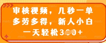 审核视频,几秒一单,多劳多得,新人小白一天轻松3张【揭秘】-风淘社