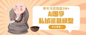 AI国学私域运营模型,单号月变现过W-风淘社