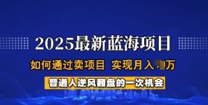 2025蓝海项目,普通人如何通过卖项目,实现月入过W,全过程【揭秘】-风淘社