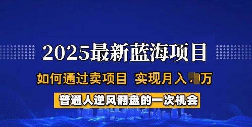 2025蓝海项目,普通人如何通过卖项目,实现月入过W,全过程【揭秘】-风淘社