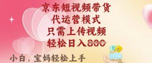 京东短视频带货，2025翻身项目，只需上传视频，单月稳定变现8k+【揭秘】-风淘社