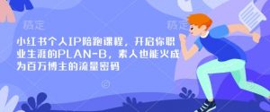 小红书个人IP陪跑课程,开启你职业生涯的PLAN-B,素人也能火成为百万博主的流量密码-风淘社