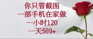 你只管截图,一部手机在家操作,一小时120.一天5张【揭秘】-风淘社