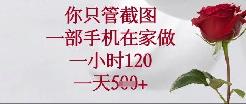 你只管截图，一部手机在家操作，一小时120.一天5张【揭秘】-风淘社