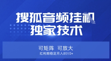 【搜狐音频挂G】独家技术，可矩阵可放大，红利期稳定月入8k【揭秘】-风淘社