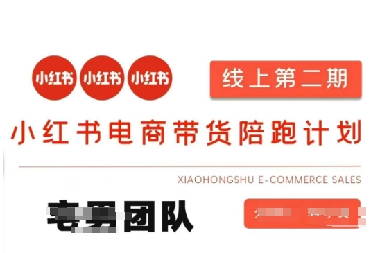 小红书电商带货课2期,月利润20个的小红书电商的有货源,无货源,虚拟产品,付费投流等整套玩法-风淘社
