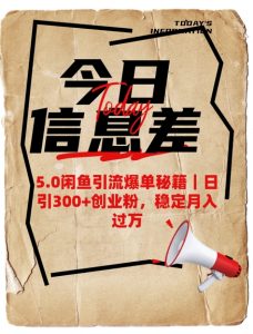 5.0闲鱼引流爆单秘籍,日引300+创业粉,稳定月入过W-风淘社