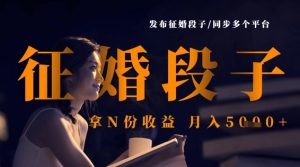 发布征婚段子，同步多个平台，拿N份收益，月入5k-风淘社