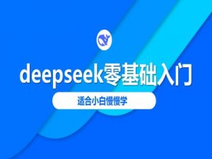 deepseek零基础入门-deepseek教程2025,适合小白慢慢学-风淘社