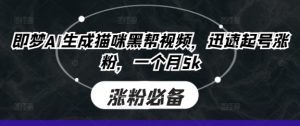 即梦AI生成猫咪黑帮视频,迅速起号涨粉,一个月5k-风淘社