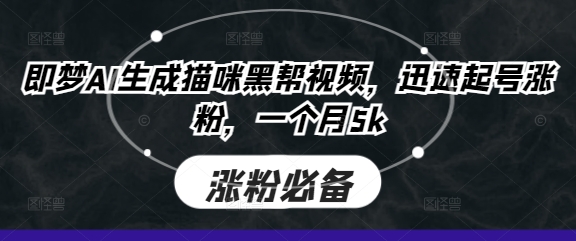 即梦AI生成猫咪黑帮视频,迅速起号涨粉,一个月5k-风淘社