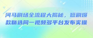 河马剧场全流程大揭秘，短剧爆款精选同一视频多平台发布实操-风淘社